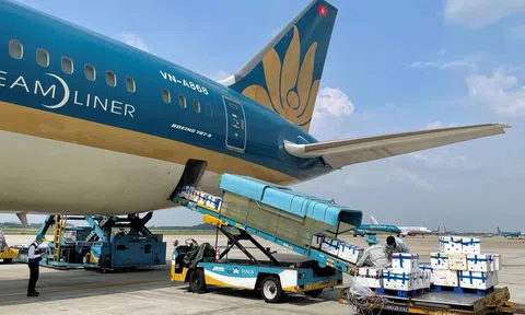 Tp. Hồ Chí Minh cơ bản thống nhất kế hoạch khai thác các đường bay nội địa thường lệ