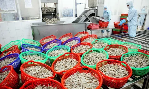 Cơ chế liên vùng - giải pháp xuyên suốt cho phục hồi sản xuất