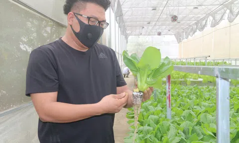 Bà rịa - Vũng Tàu: Nông nghiệp hồi phục trong khó khăn