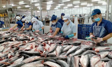 Khôi phục sản xuất tạo chuỗi cung ứng bền vững