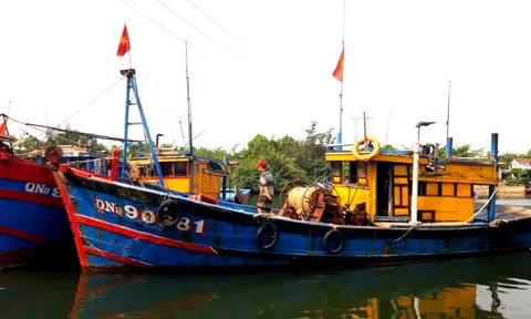 Quảng Nam đầu tư 100 tỷ đồng nâng cấp, sửa chữa âu thuyền tránh bão cho tàu cá