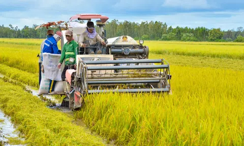 Hiện trạng nông nghiệp Đông Nam Á