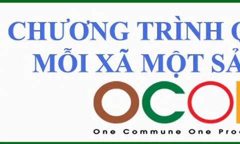 Chương trình Mỗi xã một sản phẩm gắn với phát triển hợp tác xã nông nghiệp