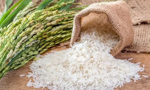 Thị trường nông sản tuần qua: Giá gạo có xu hướng tăng