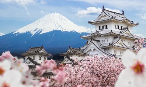 Ngành du lịch Nhật Bản lao đao vì dịch COVID-19