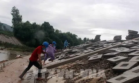 Biến đổi khí hậu: Bình Định gấp rút thi công công trình đập dâng, kè chống sạt lở